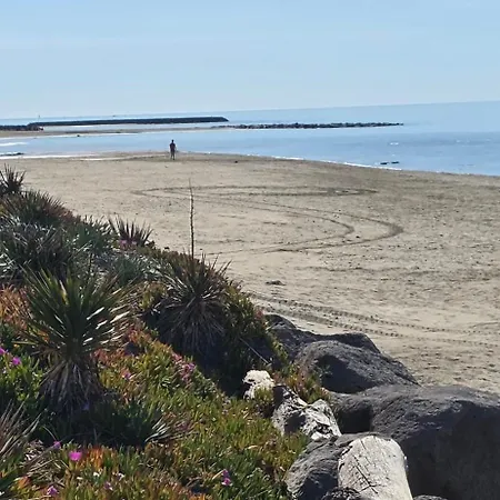 فيلة Villa Camarines Cap D Agde 50 M Des Plages De Rochelongue-Piscine Privee آجد